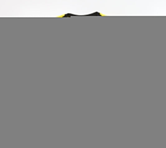 Puma Children's Yellow Haaland Dortmund Home Shirt