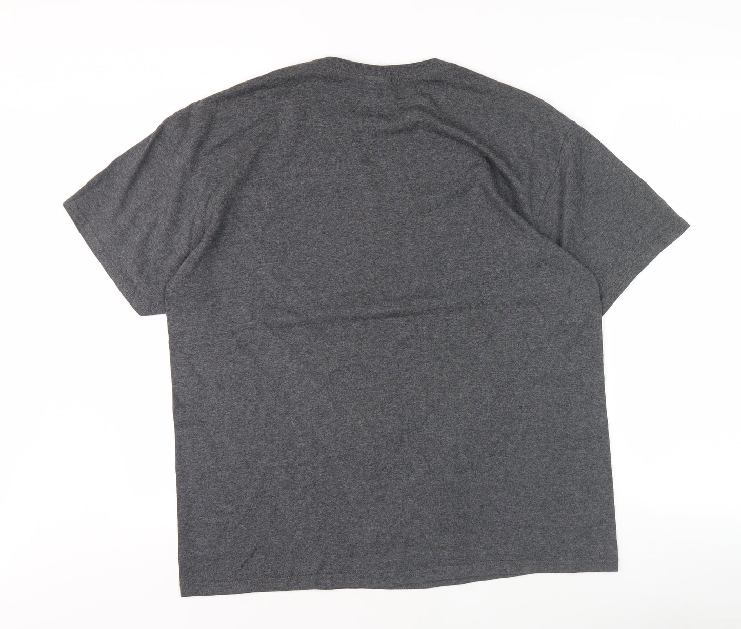 Delta Pro Weight Men's Grey Retro Graphic T-Shirt L