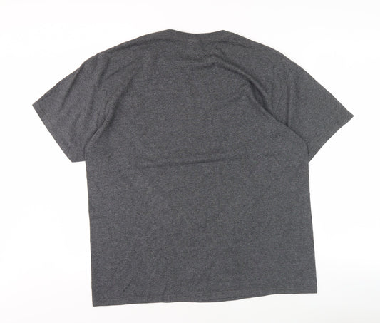 Delta Pro Weight Men's Grey Retro Graphic T-Shirt L