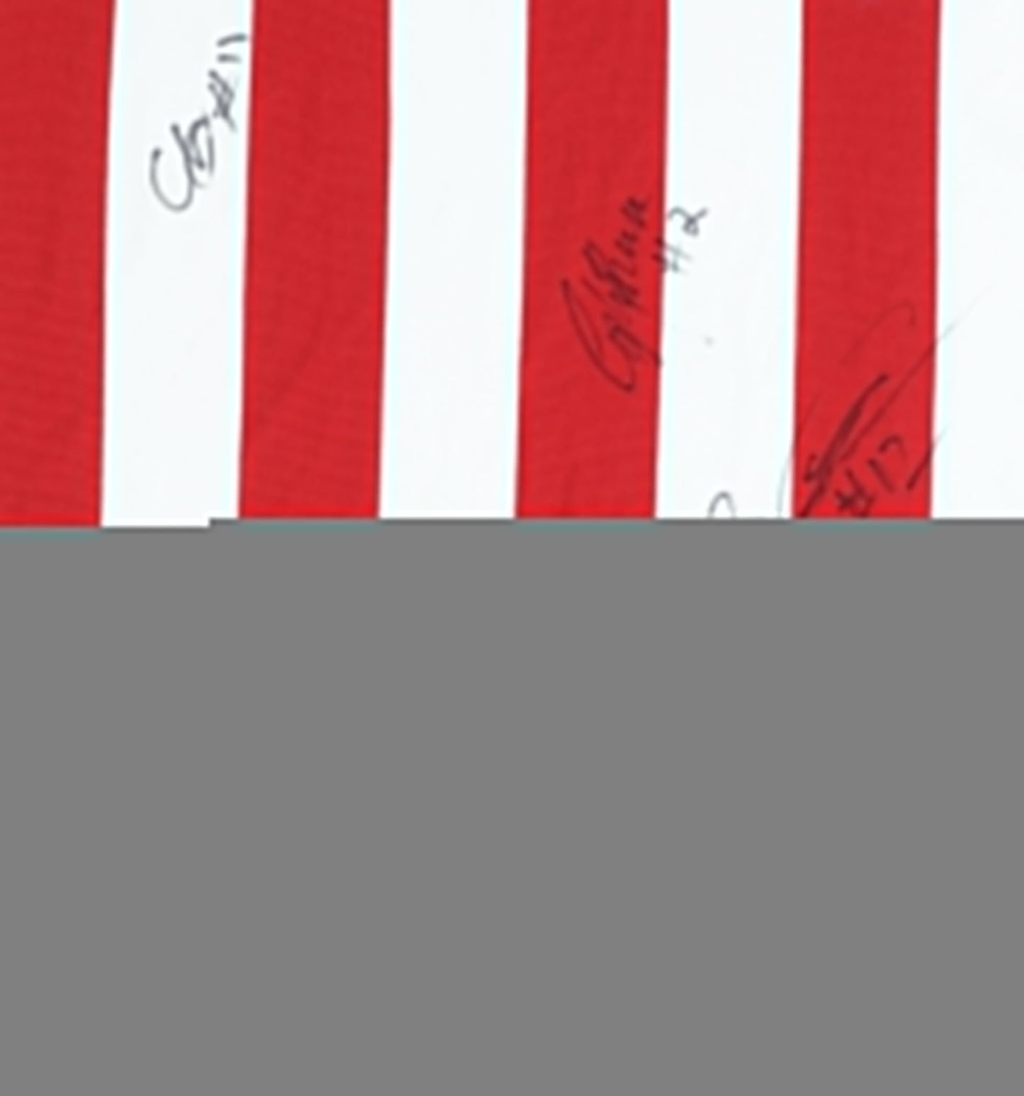 Adidas Sheffield United F.C. Red Home Shirt, XL, Signed