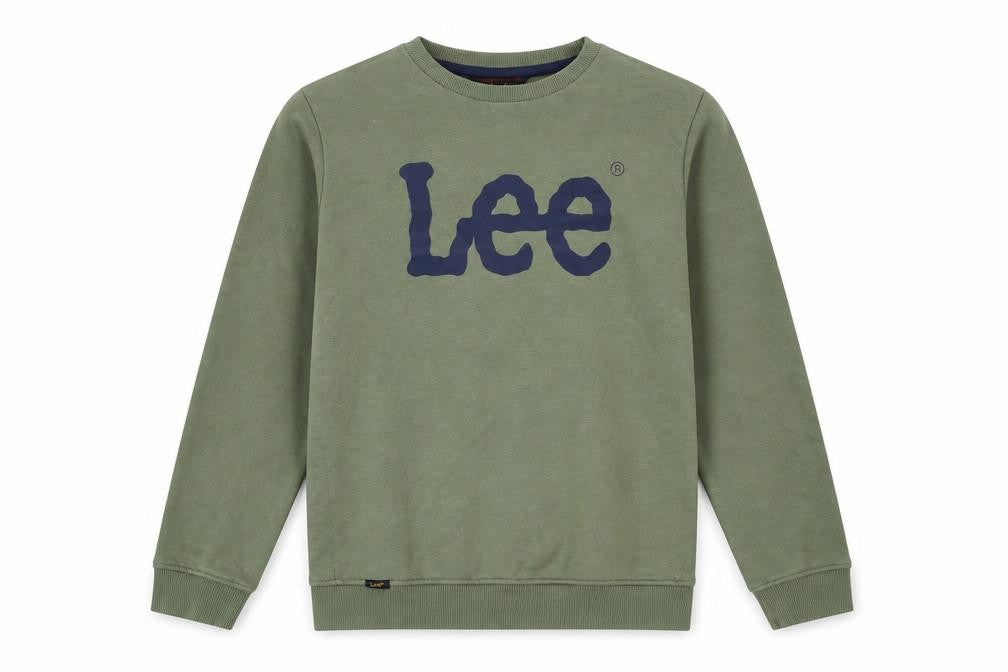 Lee Boys Green Logo Sweatshirt 10-11 Years Crew Neck Pullover Regular Fit