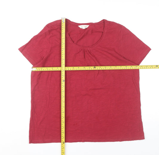Seasalt Cornwall Women Red UK 14 Organic Cotton Short Sleeve T-Shirt