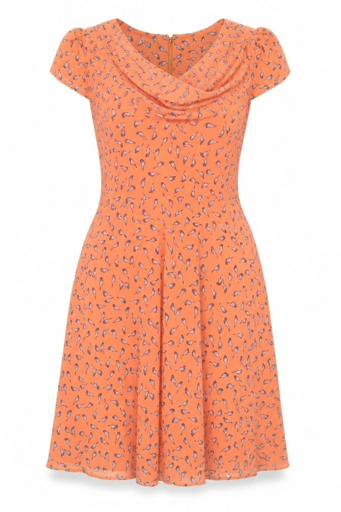 Jolie Moi Women's Orange Bird Print Fit & Flare Dress Size 14