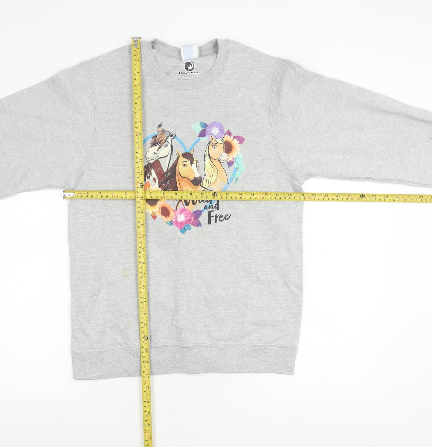 Port & Company DreamWorks Spirit Womens Grey Small Pullover Sweatshirt