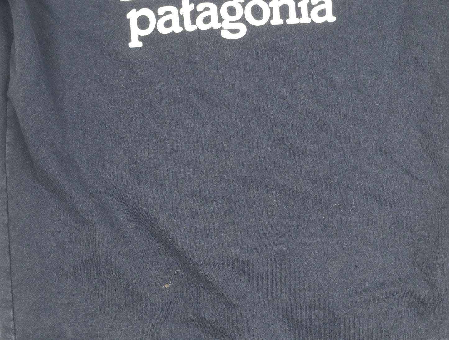 Patagonia Men's Blue Small Logo Pullover Sweatshirt Regular Fit