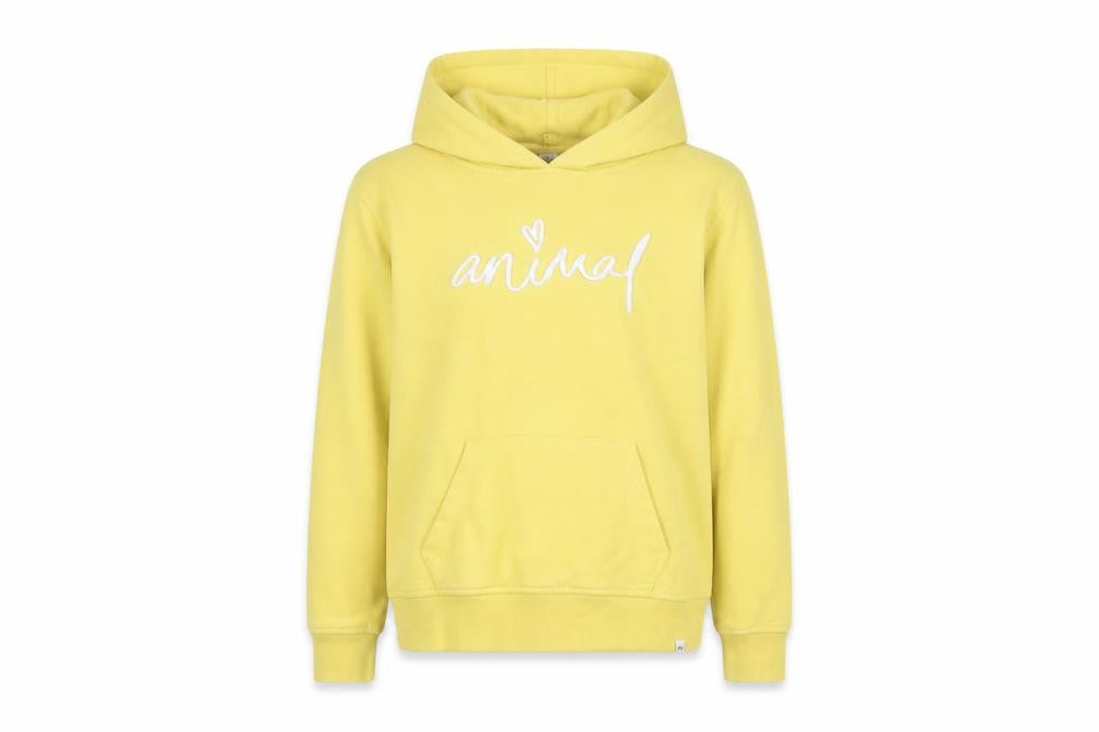 Front view of Animal girls’ yellow pullover hoodie 11-12y cotton blend embroidered logo