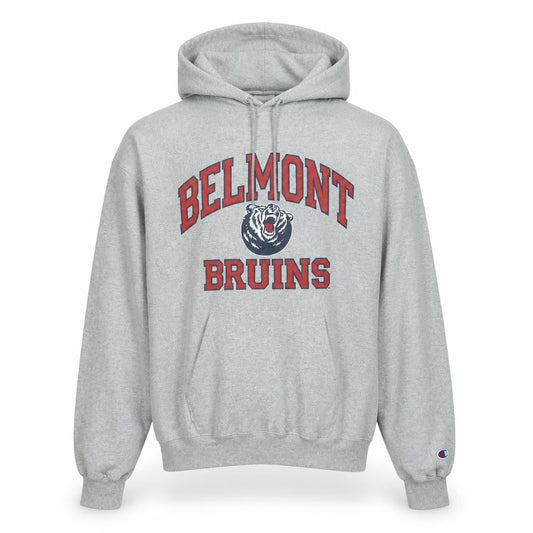 Mens UK S Regular Champion Grey Pullover Hoodie