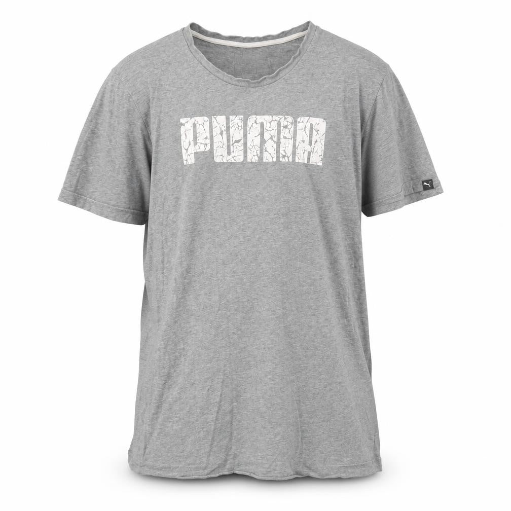 Front view of Puma Men Grey Regular Fit Cotton Short Sleeve Crew Neck Graphic T-Shirt, size L