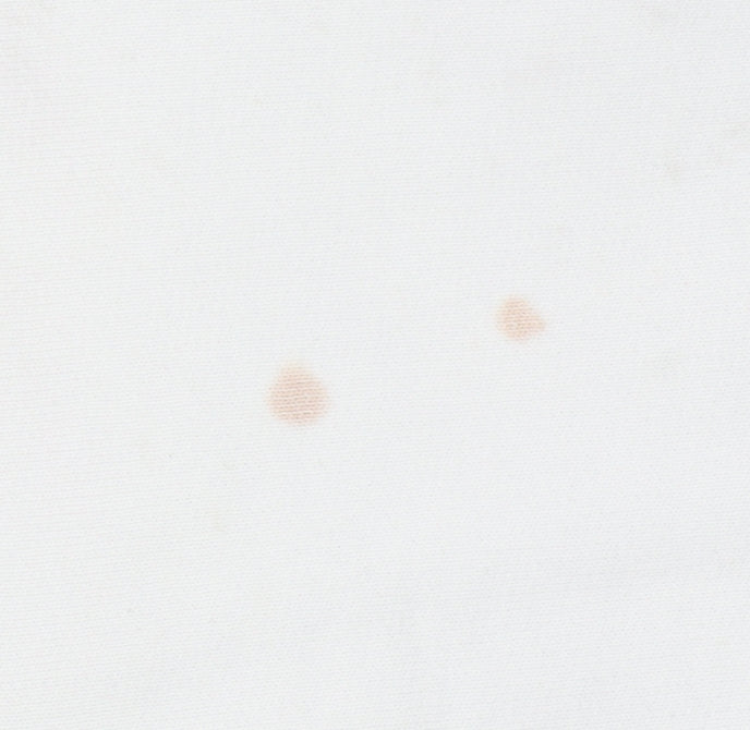 The North Face Men's White Hoodie L Pullover Cotton Logo Outdoor