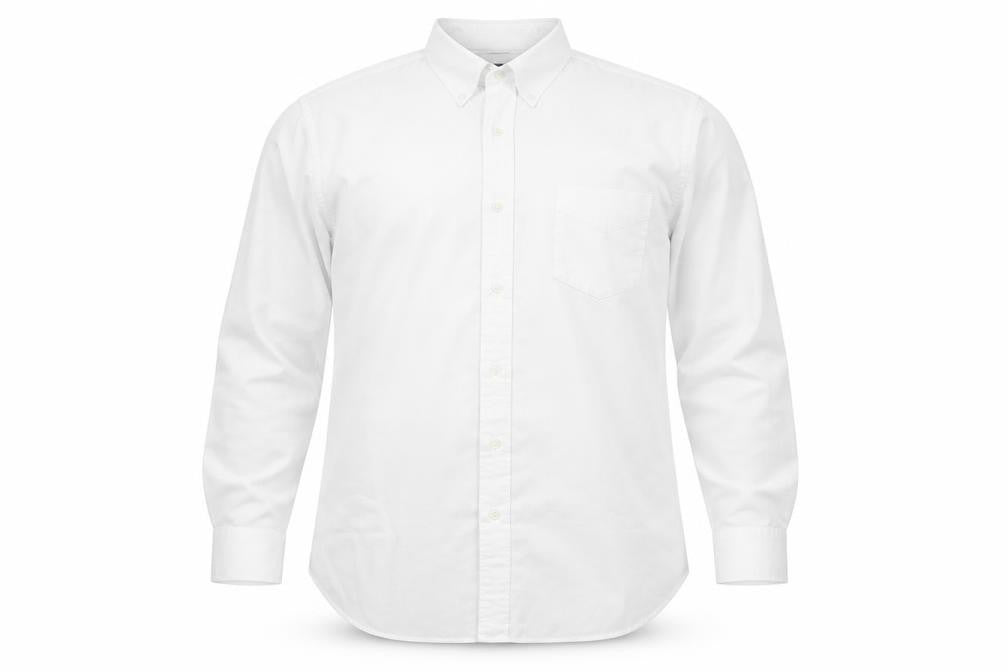 Roundtree & Yorke Men's White 46 Regular Fit Long Sleeve Dress Shirt