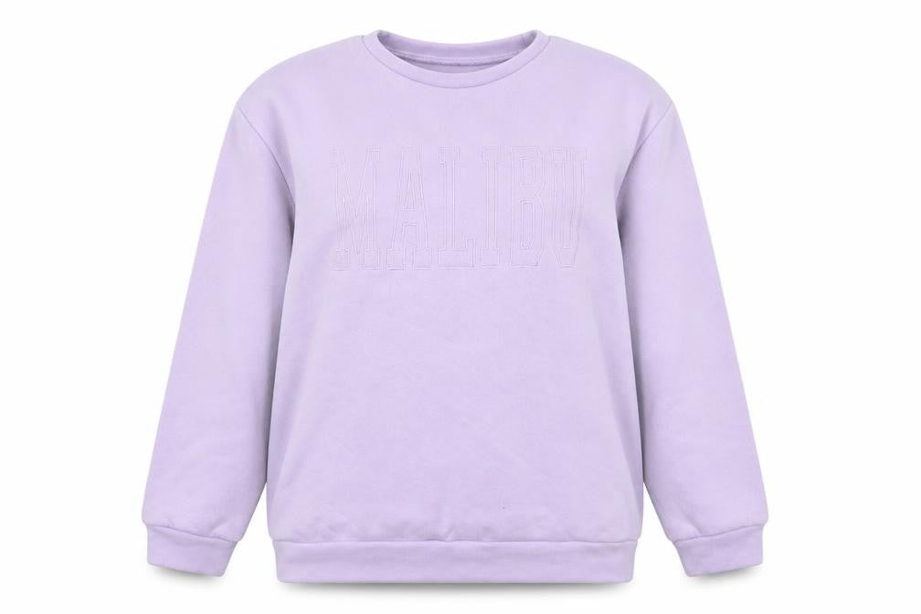 SHEIN Womens Lilac Malibu Sweatshirt Size 10 Regular Fit