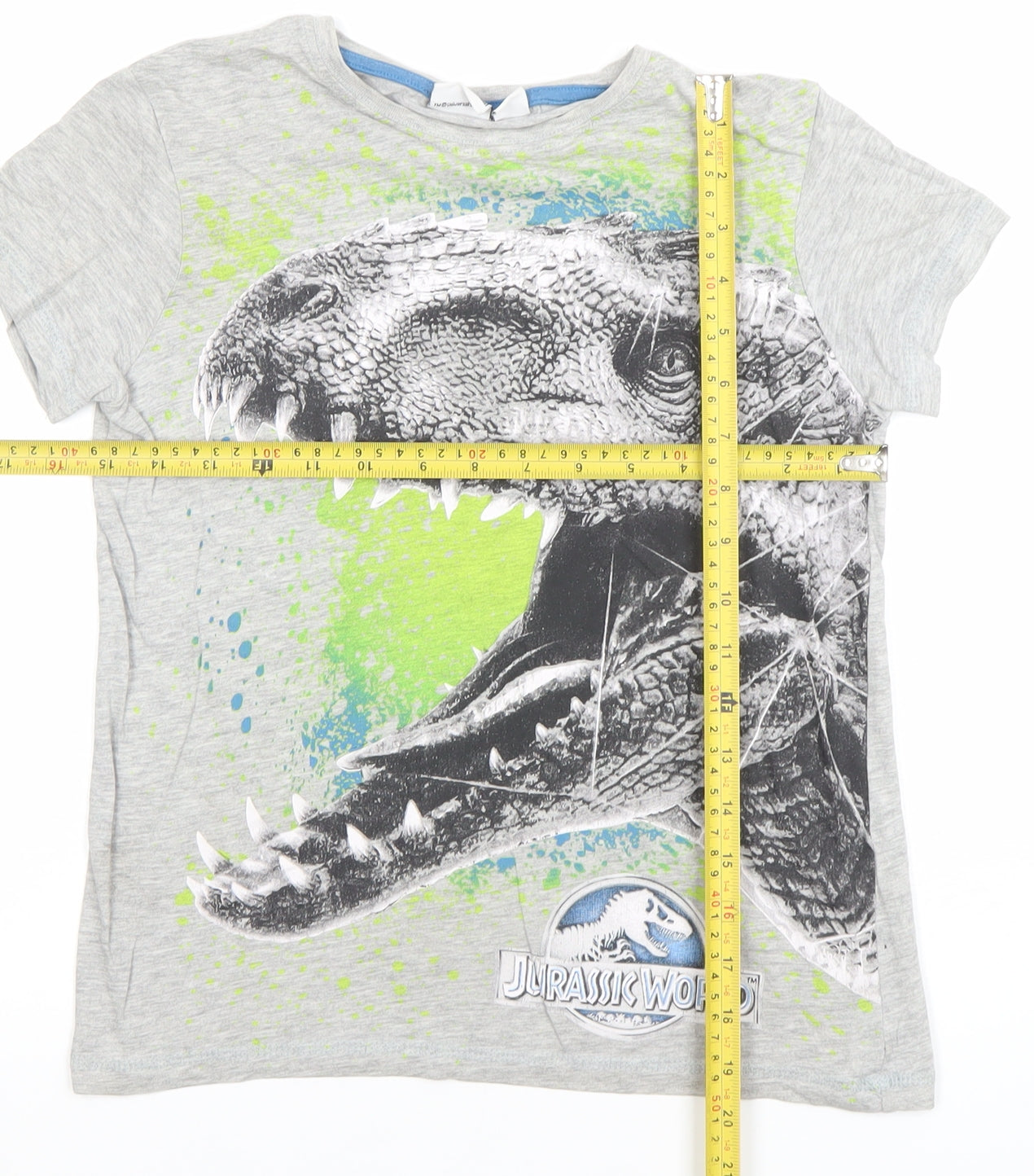 Jurassic World Boys Grey Dinosaur Print T-Shirt 10-11 Years