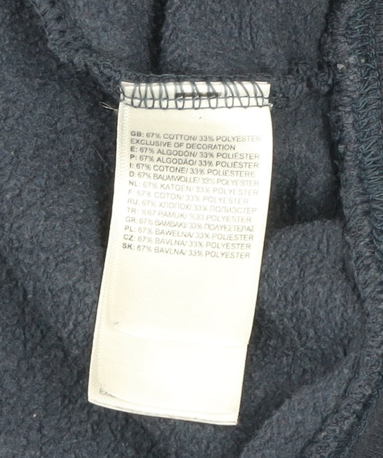 The North Face Men's Blue Pullover Hoodie M Regular Fit Fleece Sweatshirt