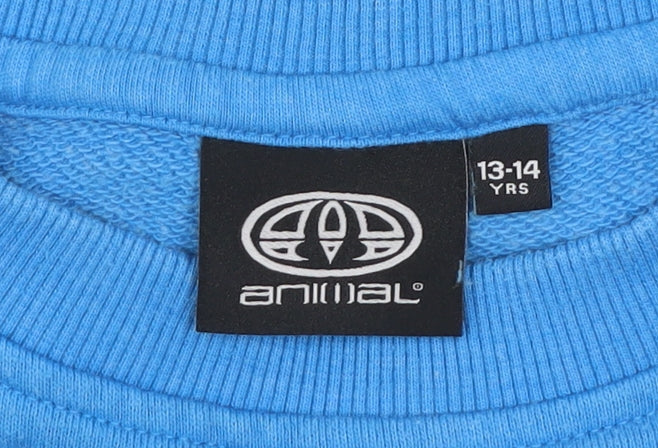 Animal Boys Blue Crew Neck Pullover Sweatshirt 13-14 Years
