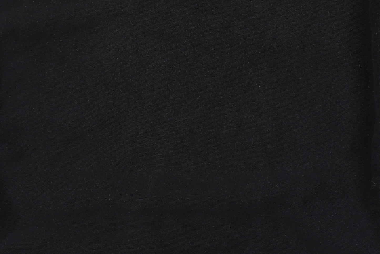 Champion Men's Black Medium Reverse Weave Embroidered Sweatshirt