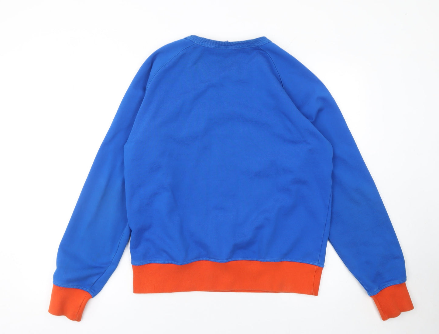 Mens UK L Regular Champion Blue Pullover Sweatshirt