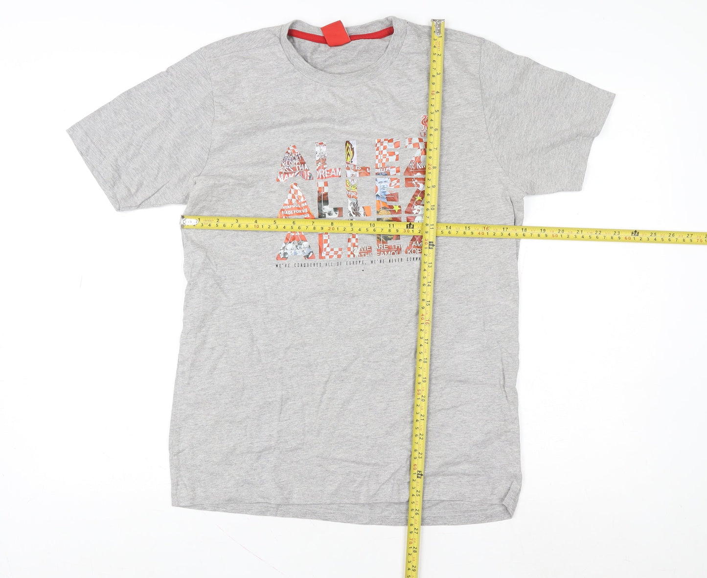 Liverpool FC Men's Grey Graphic Short Sleeve T-Shirt Small