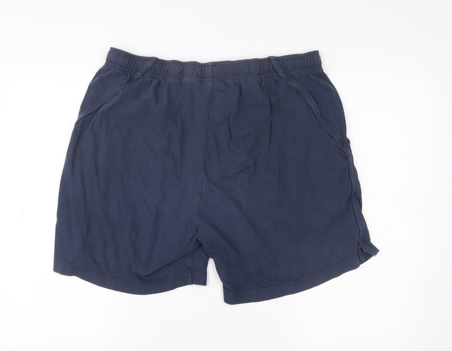 Nike Men’s Blue Athletic Running Shorts Size L Polyester Activewear