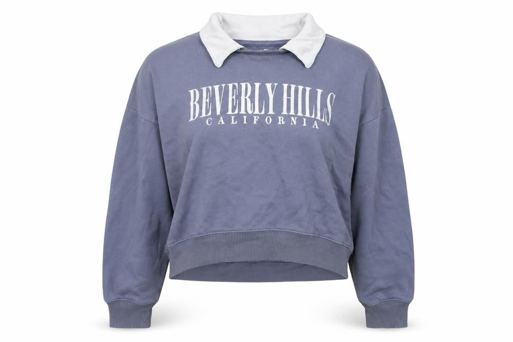 Hollister Womens Blue Beverly Hills Collared Pullover Sweatshirt L