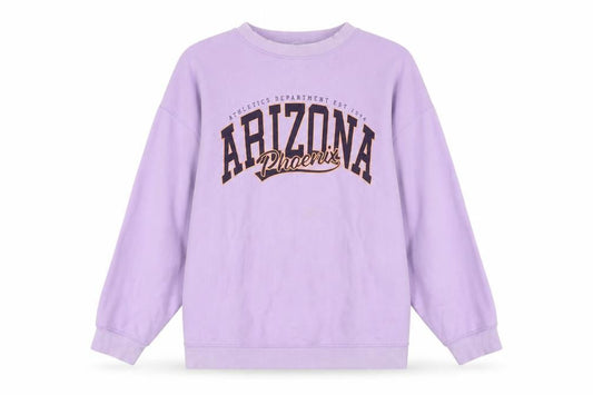 H&M Women’s Lilac Arizona Graphic Sweatshirt Size 14 Cotton Blend