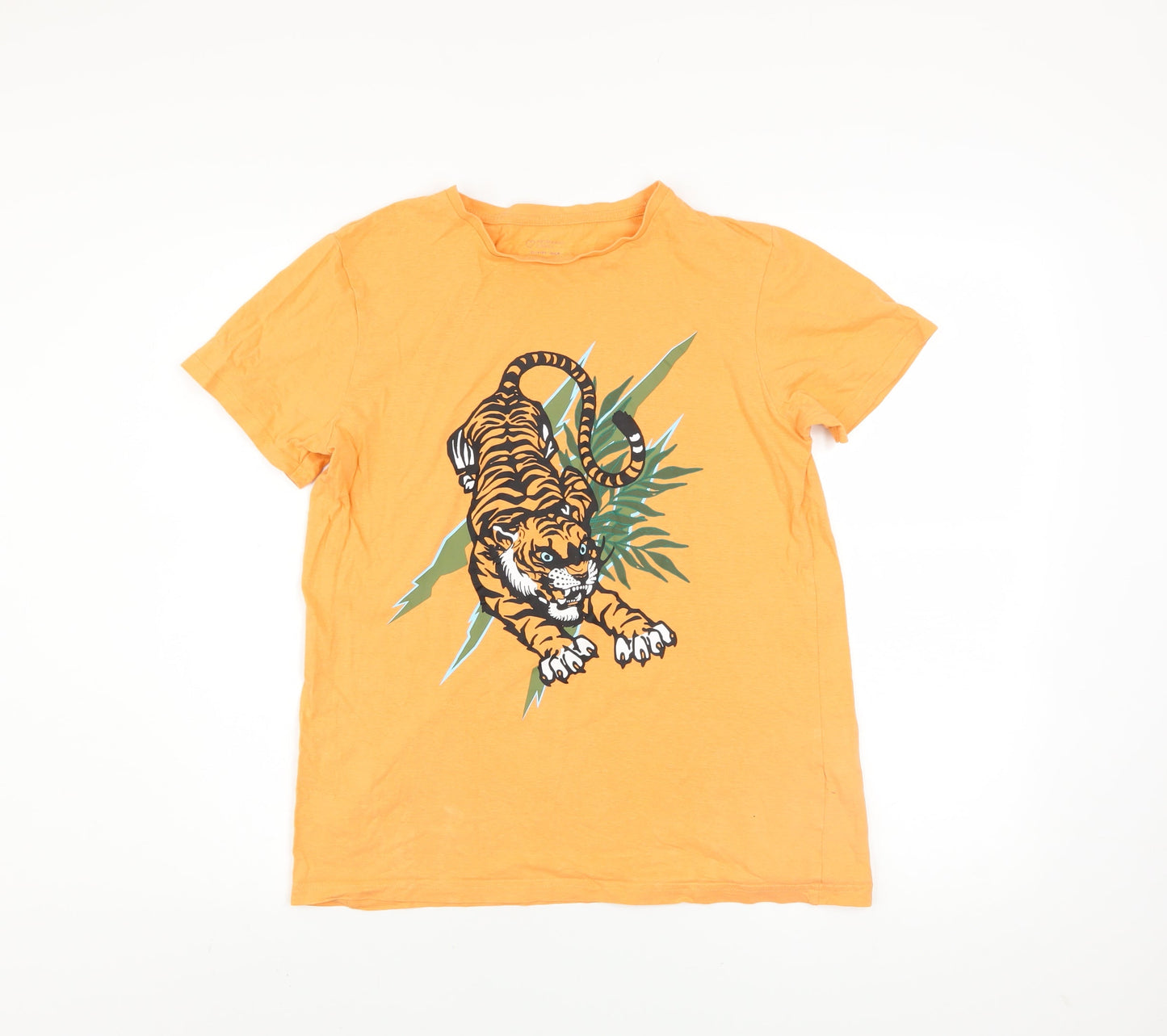 Primark Boys Orange Tiger Graphic Cotton T-Shirt 13-14 Years