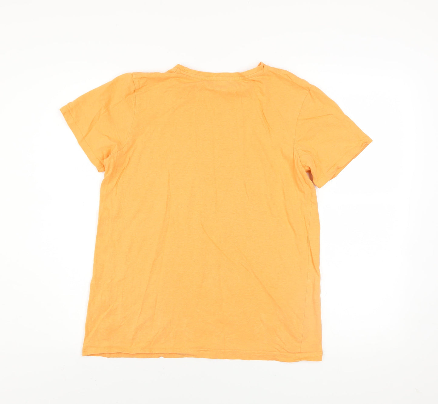 Primark Boys Orange Tiger Graphic Cotton T-Shirt 13-14 Years