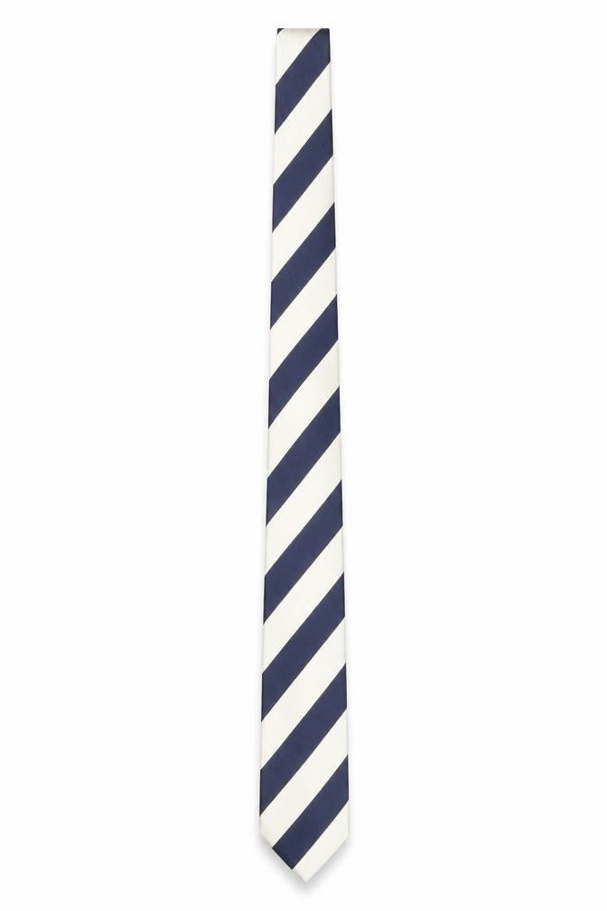 Taylor & Wright Men's Blue and Ivory Striped Silk Tie - One Size