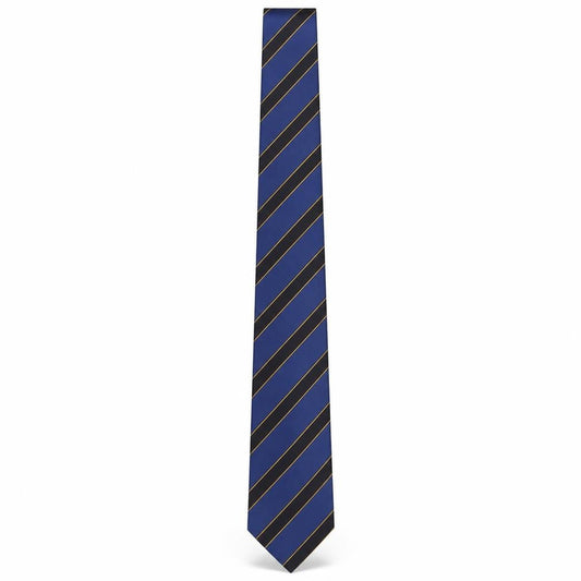 Carlo Colombo Men's Blue Striped Silk Slim Tie Made in Italy