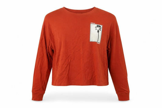 Hollister Womens Brown Cropped Long Sleeve T-Shirt XS
