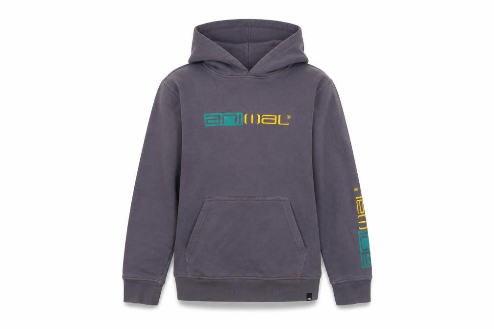 Front view of Animal girls’ grey hoodie 11-12 years pullover fleece hooded sweatshirt