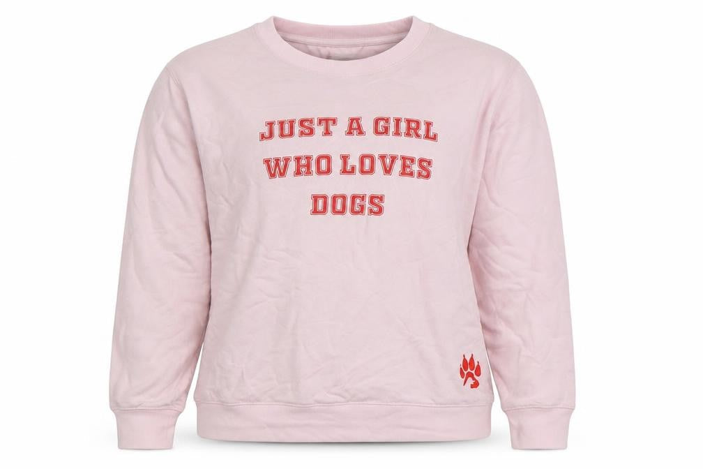Armedangels Women Pink Cotton Graphic Pullover Sweatshirt Size S