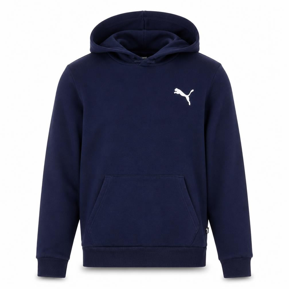 Front view of Puma Men's Blue Pullover Hoodie, size S, Regular Fit Logo Fleece