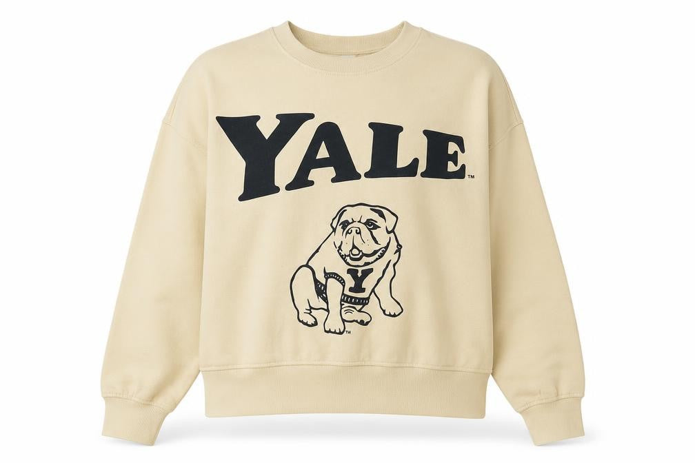 H&M Divided Yale Beige Graphic Cotton Blend Sweatshirt XS Women