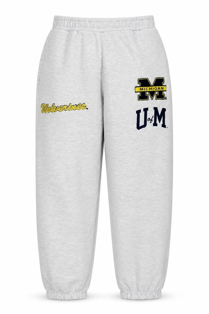 Michigan Wolverines Grey Hoodie Women’s Medium Pullover Sweatshirt