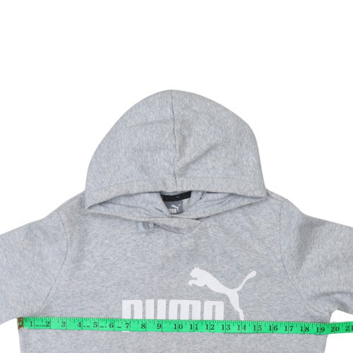 Puma Mens Grey Pullover Hoodie Size M Regular Fit Graphic Logo