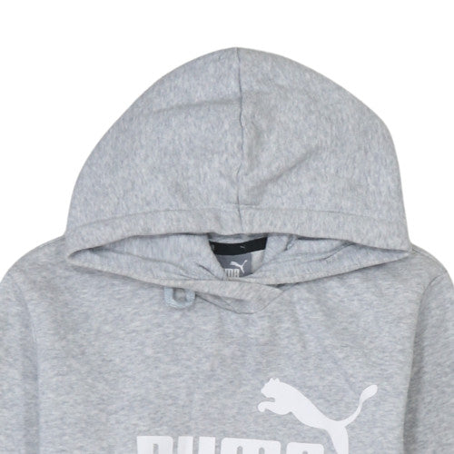 Puma Mens Grey Pullover Hoodie Size M Regular Fit Graphic Logo