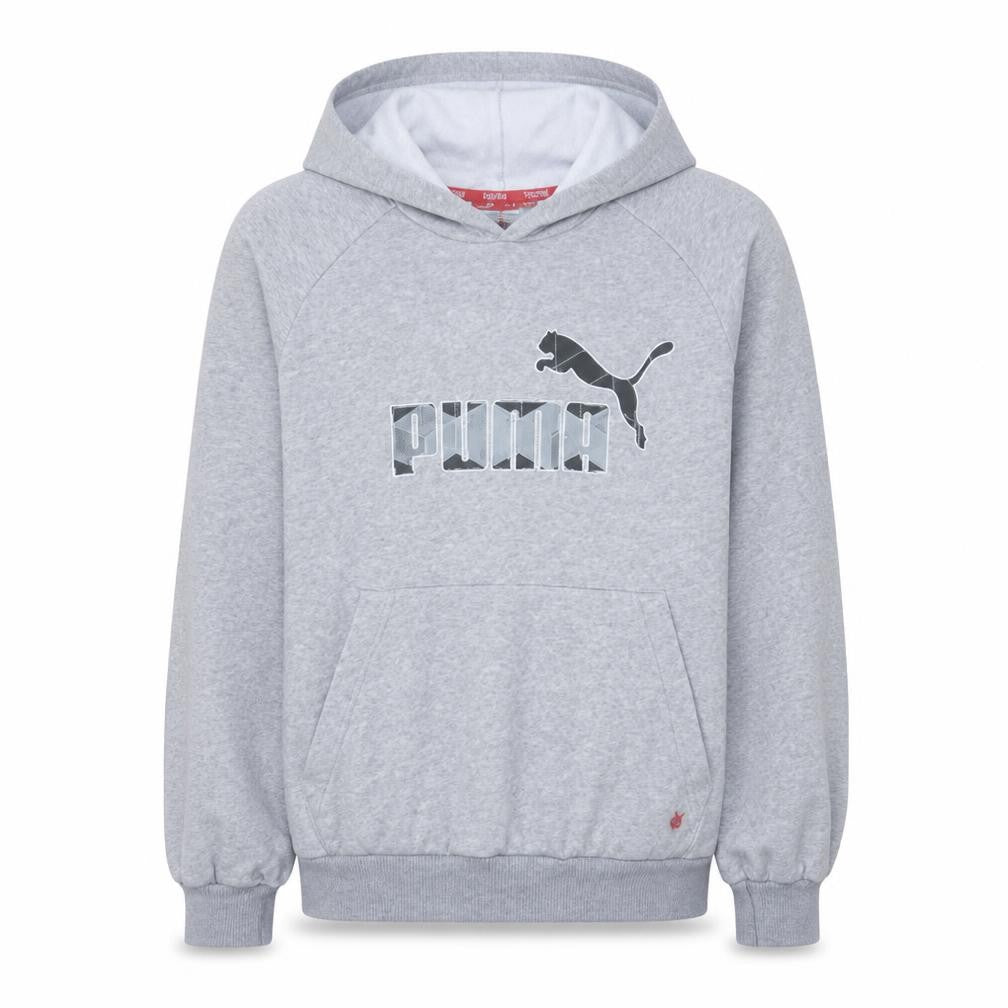 Puma Mens Grey Pullover Hoodie Size S Graphic Fleece Sweatshirt