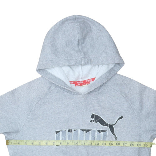 Puma Mens Grey Pullover Hoodie Size S Graphic Fleece Sweatshirt