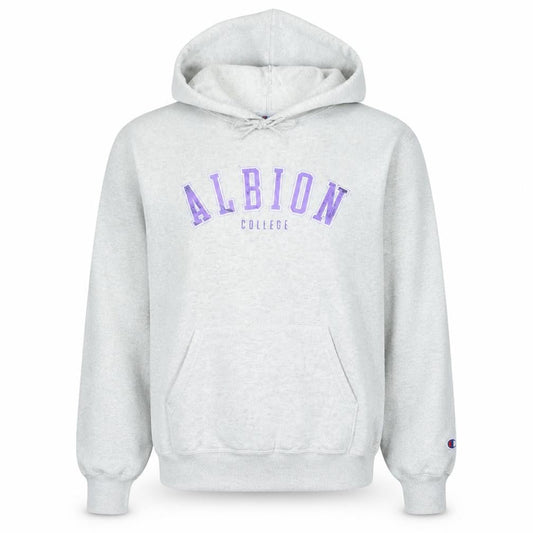 Champion Women’s Grey Albion College Pullover Hoodie M