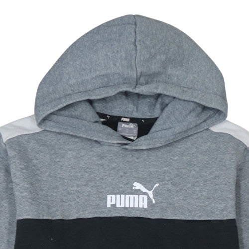 Puma Men's Grey Pullover Hoodie L Sports Fleece Sweatshirt