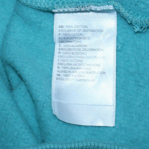 The North Face Womens Blue Pullover Hoodie Size S Cotton Sweatshirt
