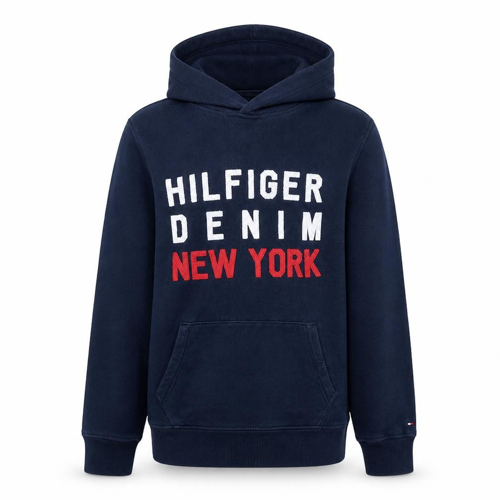 Front view of Hilfiger Denim Men's Blue Pullover Hoodie M Regular Fit Graphic Print
