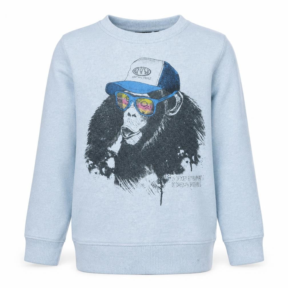 Animal Boys Grey Graphic Print Pullover Sweatshirt 13-14 Years