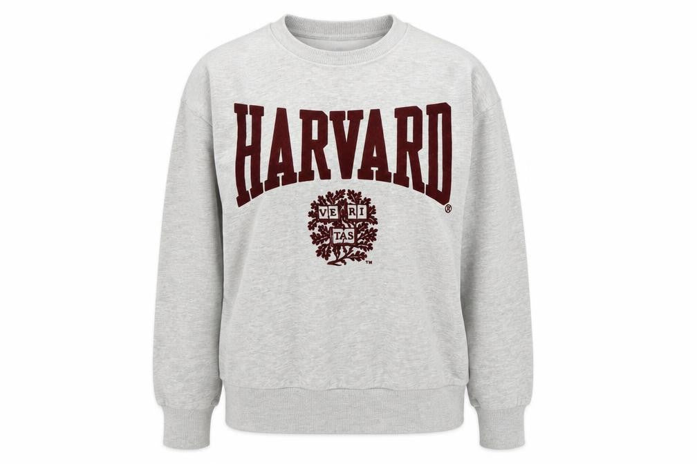 H&M Women Grey Harvard Logo Pullover Sweatshirt XS