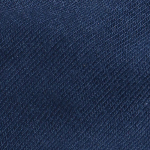Champion Men's Blue Small Pullover Fleece Hoodie