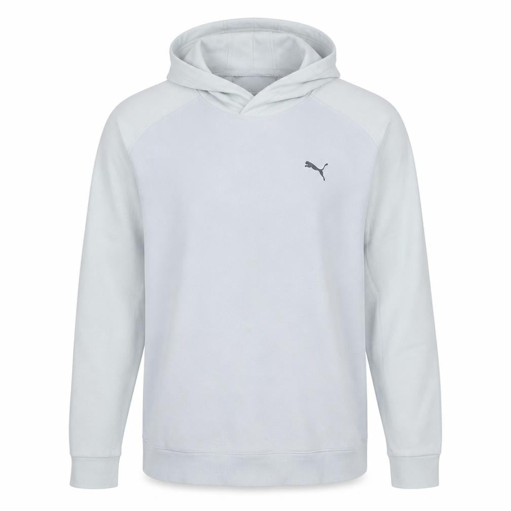 Puma Men's White Pullover Hoodie L Sportswear Classic Logo