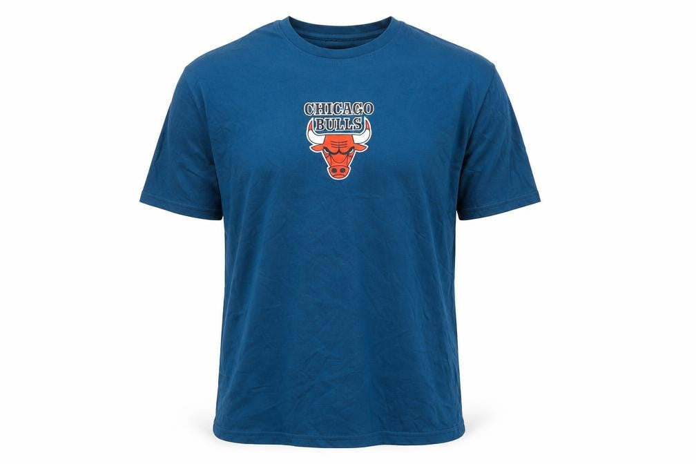 Alundance Basics Men Blue Chicago Bulls Graphic T-Shirt L Regular Fit
