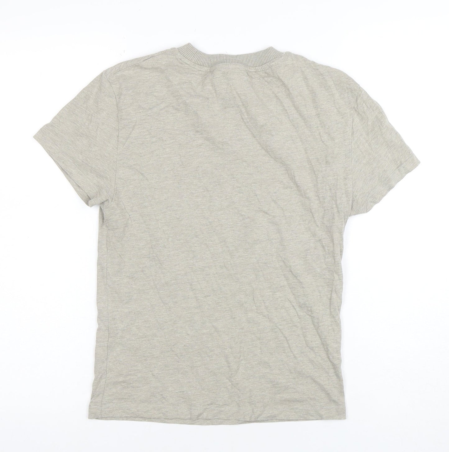 Reclaimed Vintage Womens Grey Arizona Graphic T-Shirt Size S