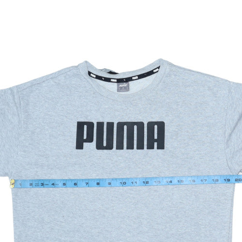 Puma Men's Grey Small Logo Pullover Sweatshirt Regular Fit
