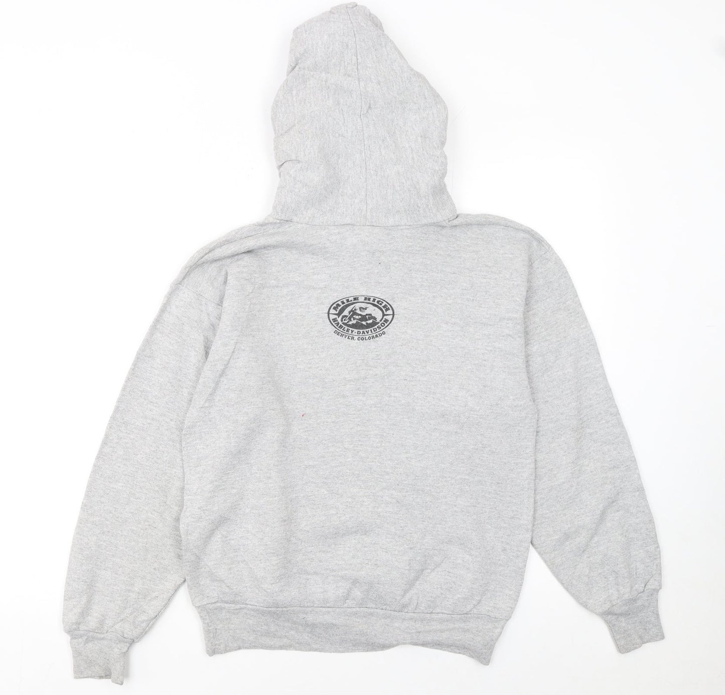Harley-Davidson Boys Grey Hoodie L 14-16 Classic Pullover Motorcycle Print